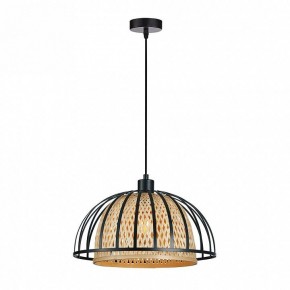 Подвесной светильник Arte Lamp Woodstock A7071SP-1BK в Южноуральске - yuzhnouralsk.ok-mebel.com | фото
