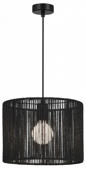 Подвесной светильник EVOLUCE ETTAN SLE6024-403-01 в Южноуральске - yuzhnouralsk.ok-mebel.com | фото 2