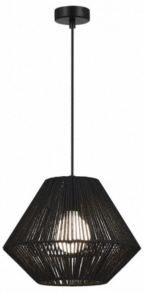 Подвесной светильник EVOLUCE ETTAN SLE6025-403-01 в Южноуральске - yuzhnouralsk.ok-mebel.com | фото 2