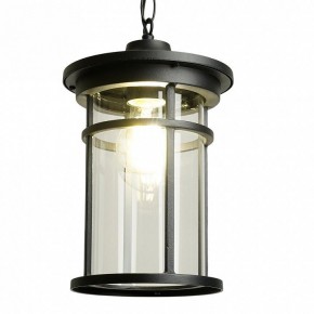 Подвесной светильник Feron PL765 51819 в Южноуральске - yuzhnouralsk.ok-mebel.com | фото 3