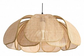 Подвесной светильник Freya Cocoon FR5529PL-01B в Южноуральске - yuzhnouralsk.ok-mebel.com | фото