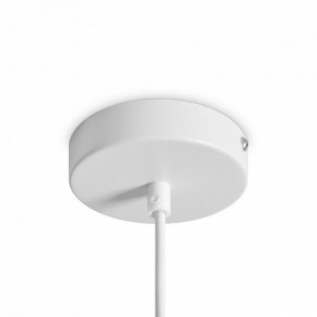 Подвесной светильник Freya Shapes FR5530PL-L10W в Южноуральске - yuzhnouralsk.ok-mebel.com | фото 5