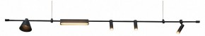 Подвесной светильник Kink Light Ристо 07616-180L,19 в Южноуральске - yuzhnouralsk.ok-mebel.com | фото