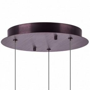 Подвесной светильник Lightstar Caramello 796139 в Южноуральске - yuzhnouralsk.ok-mebel.com | фото 13