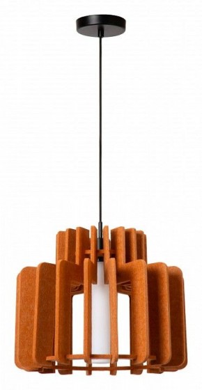 Подвесной светильник Lucide Rollo 45491/40/55 в Южноуральске - yuzhnouralsk.ok-mebel.com | фото 2