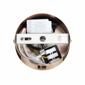 Подвесной светильник Lumion Cristie 8009/6L в Южноуральске - yuzhnouralsk.ok-mebel.com | фото 6