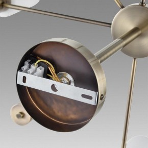 Подвесной светильник Lumion Mave 8100/12C в Южноуральске - yuzhnouralsk.ok-mebel.com | фото 6