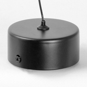 Подвесной светильник Lussole Blount LSP-7356 в Южноуральске - yuzhnouralsk.ok-mebel.com | фото 6