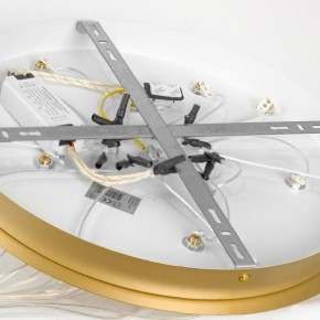 Подвесной светильник Lussole Hopkins LSP-7404 в Южноуральске - yuzhnouralsk.ok-mebel.com | фото 4