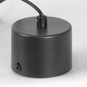 Подвесной светильник Lussole Milam LSP-7450 в Южноуральске - yuzhnouralsk.ok-mebel.com | фото 7