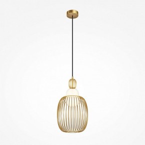Подвесной светильник Maytoni Levitation MOD376PL-01G1 в Южноуральске - yuzhnouralsk.ok-mebel.com | фото 2