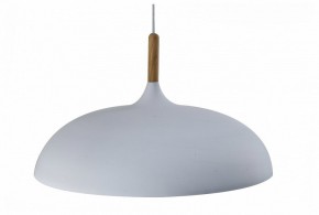 Подвесной светильник Moderli Hygo V11447-1P в Южноуральске - yuzhnouralsk.ok-mebel.com | фото