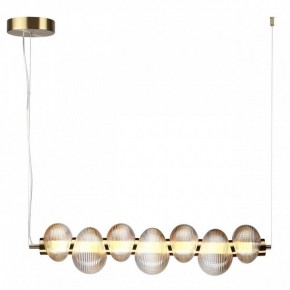 Подвесной светильник Odeon Light Bruco 5095/24L в Южноуральске - yuzhnouralsk.ok-mebel.com | фото 2