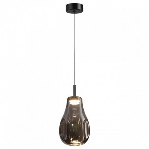 Подвесной светильник Odeon Light Nave 5098/4LC в Южноуральске - yuzhnouralsk.ok-mebel.com | фото 2