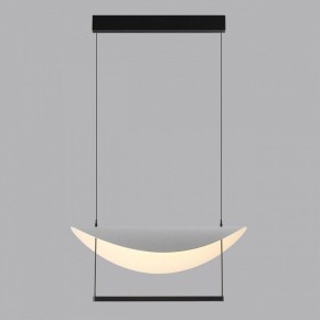 Подвесной светильник Odeon Light Next 7015/20L в Южноуральске - yuzhnouralsk.ok-mebel.com | фото 4