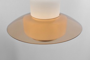 Подвесной светильник Rivoli Camille Б0061901 в Южноуральске - yuzhnouralsk.ok-mebel.com | фото 10