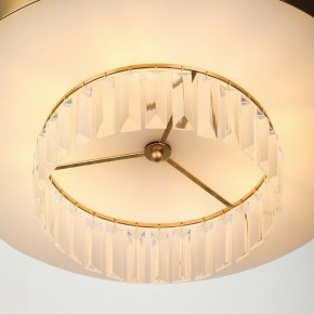 Подвесной светильник Rivoli Vickie Б0061902 в Южноуральске - yuzhnouralsk.ok-mebel.com | фото 11