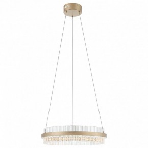 Подвесной светильник ST-Luce Cherio SL383.203.01 в Южноуральске - yuzhnouralsk.ok-mebel.com | фото 3
