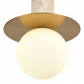 Подвесной светильник ST-Luce Earthy SL1194.303.01 в Южноуральске - yuzhnouralsk.ok-mebel.com | фото 5