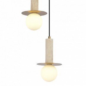 Подвесной светильник ST-Luce Earthy SL1194.303.03 в Южноуральске - yuzhnouralsk.ok-mebel.com | фото 4