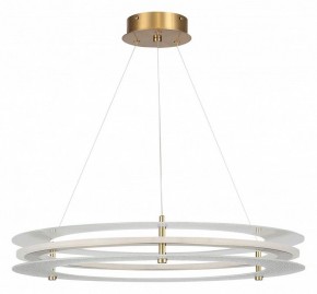 Подвесной светильник ST-Luce FAGY SL6245.203.01 в Южноуральске - yuzhnouralsk.ok-mebel.com | фото 3