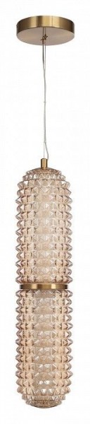Подвесной светильник ST-Luce SAGUARO SL6144.303.01 в Южноуральске - yuzhnouralsk.ok-mebel.com | фото 3