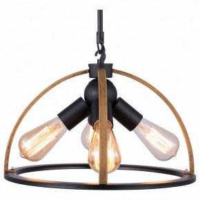 Подвесной светильник TopLight Jasmin TL1179H-04BK в Южноуральске - yuzhnouralsk.ok-mebel.com | фото