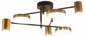 Потолочная люстра Kink Light Рапис 07645-6D,19(20) в Южноуральске - yuzhnouralsk.ok-mebel.com | фото
