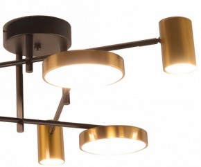 Потолочная люстра Kink Light Рапис 07645-6D,19(20) в Южноуральске - yuzhnouralsk.ok-mebel.com | фото 2