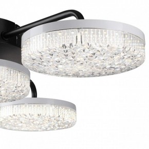 Потолочная люстра Lumion Didana 8236/4CL в Южноуральске - yuzhnouralsk.ok-mebel.com | фото 7