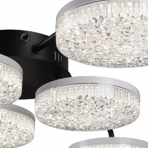 Потолочная люстра Lumion Didana 8236/6CL в Южноуральске - yuzhnouralsk.ok-mebel.com | фото 9