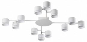 Потолочная люстра Lumion Gareta 8235/12C в Южноуральске - yuzhnouralsk.ok-mebel.com | фото