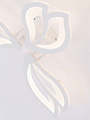 Потолочная люстра Natali Kovaltseva FORTUNA LED LAMPS 81107/2C в Южноуральске - yuzhnouralsk.ok-mebel.com | фото 11