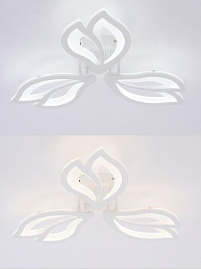 Потолочная люстра Natali Kovaltseva FORTUNA LED LAMPS 81107/2C в Южноуральске - yuzhnouralsk.ok-mebel.com | фото 4