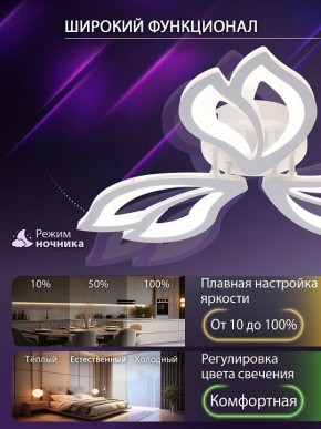 Потолочная люстра Natali Kovaltseva FORTUNA LED LAMPS 81107/2C в Южноуральске - yuzhnouralsk.ok-mebel.com | фото 5