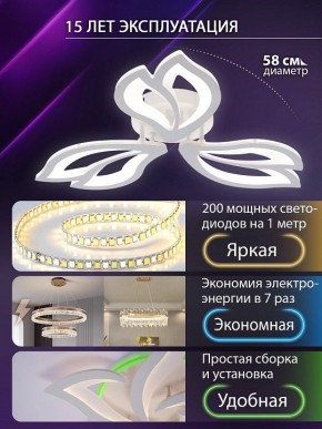 Потолочная люстра Natali Kovaltseva FORTUNA LED LAMPS 81107/2C в Южноуральске - yuzhnouralsk.ok-mebel.com | фото 6