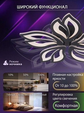 Потолочная люстра Natali Kovaltseva FORTUNA LED LAMPS 81107/5C в Южноуральске - yuzhnouralsk.ok-mebel.com | фото 6