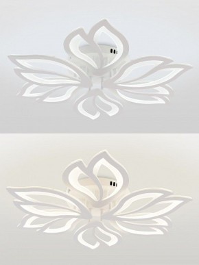 Потолочная люстра Natali Kovaltseva FORTUNA LED LAMPS 81107/6C в Южноуральске - yuzhnouralsk.ok-mebel.com | фото 4