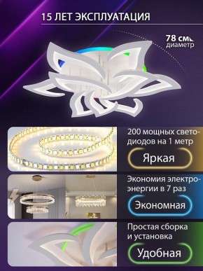 Потолочная люстра Natali Kovaltseva OLIMP LED LAMPS 81435 в Южноуральске - yuzhnouralsk.ok-mebel.com | фото 5