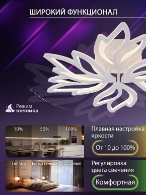 Потолочная люстра Natali Kovaltseva RIF LED LAMPS 81118/5C в Южноуральске - yuzhnouralsk.ok-mebel.com | фото 6