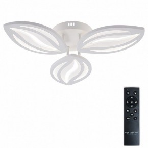 Потолочная люстра Natali Kovaltseva SM LED LAMPS 81456 в Южноуральске - yuzhnouralsk.ok-mebel.com | фото 2