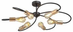 Потолочная люстра Vitaluce V3076 V3076-1/6PL в Южноуральске - yuzhnouralsk.ok-mebel.com | фото 3