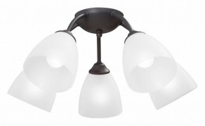 Потолочная люстра Vitaluce V3184 V3737-2/5PL в Южноуральске - yuzhnouralsk.ok-mebel.com | фото