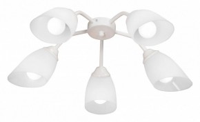 Потолочная люстра Vitaluce V31950 V31950/5PL в Южноуральске - yuzhnouralsk.ok-mebel.com | фото