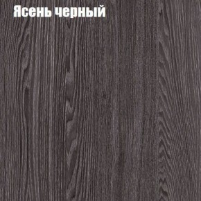Прихожая ДИАНА-4 сек №14 (Ясень анкор/Дуб эльза) в Южноуральске - yuzhnouralsk.ok-mebel.com | фото 3