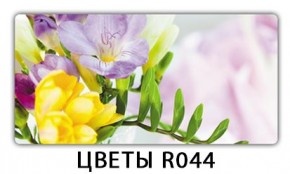 Раздвижной СТ Бриз орхидея R041 Доска D110 в Южноуральске - yuzhnouralsk.ok-mebel.com | фото 12