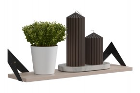 РИЧ Полка навесная в Южноуральске - yuzhnouralsk.ok-mebel.com | фото 3