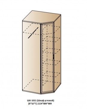 ШК-1011 (Шкаф угловой) в Южноуральске - yuzhnouralsk.ok-mebel.com | фото