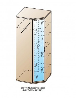 ШК-1012 (Шкаф угловой) в Южноуральске - yuzhnouralsk.ok-mebel.com | фото