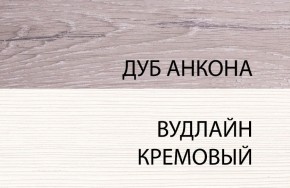 Шкаф 1DZ, OLIVIA, цвет вудлайн крем/дуб анкона в Южноуральске - yuzhnouralsk.ok-mebel.com | фото 3